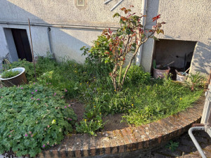 Photo de galerie - Tonte de pelouse - Débroussaillage