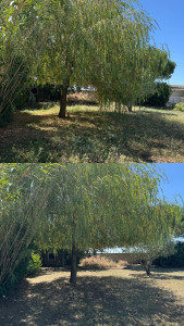 Photo de galerie - Tonte de pelouse - Débroussaillage