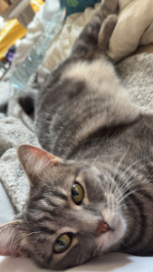 Photo de galerie - L