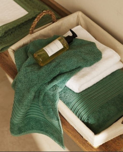 Photo de galerie - Lingerie - Repassage