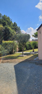 Photo de galerie - Taille de haies et d'arbustes