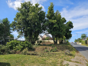 Photo de galerie - Après travaux 