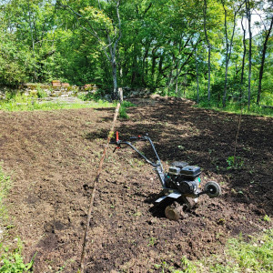 Photo de galerie - Jardinier