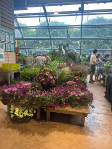 Photo de galerie - Botanic 