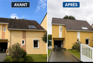 Photo de galerie - Repeindre une façade + Nettoyage toiture 