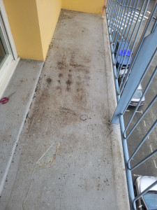 Photo de galerie - Avant le  nettoyage 