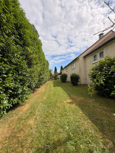 Photo de galerie - Remise en état ( tonte rabattage de haie +taille en finitions) 