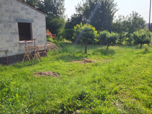 Photo de galerie - Jardinier