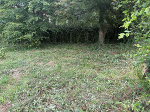 Photo de galerie - Et après