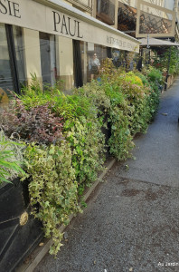 Photo de galerie - Paysagiste - Aménagement du jardin