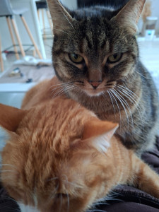 Photo de galerie - Décembre 2025