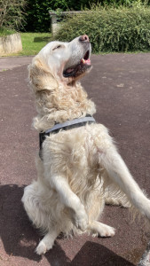 Photo de galerie - Pink prend le soleil