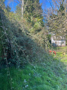 Photo de galerie - Jardinier