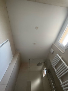 Photo de galerie - Peinture sur plafond