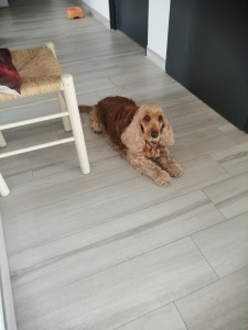 Photo de galerie - Olive ma douce !