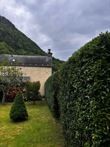 Photo de galerie - Taille de haies