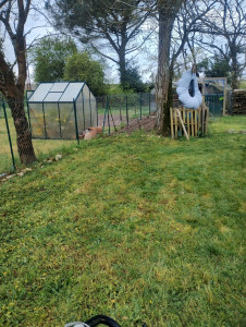 Photo de galerie - Tonte