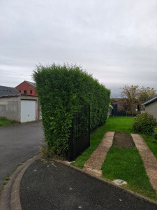Photo de galerie - Avant la coupe d’une haie de 3 mètres 
