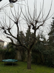 Photo de galerie - Avant 