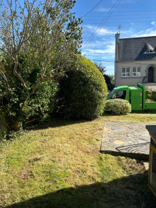 Photo de galerie - Tonte + taille 