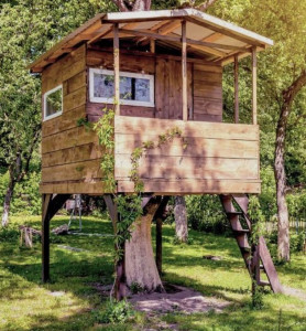 Photo de galerie - Cabane de jardin dans un arbre