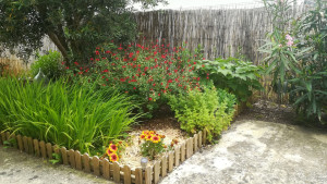 Photo de galerie - Massif fleuri