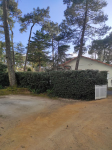 Photo de galerie - Taille de haies et d'arbustes