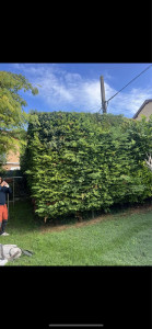 Photo de galerie - Avant 