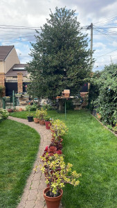 Photo de galerie - Réalisation et entretien de jardin  