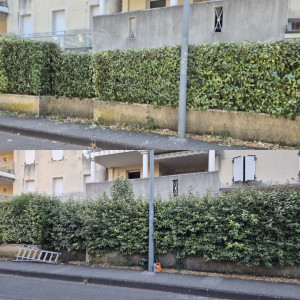 Photo de galerie - Taille de Haie 