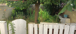 Photo de galerie - Paysagiste - Aménagement du jardin