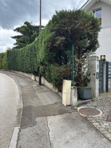 Photo de galerie - Taille de haie 