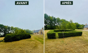 Photo de galerie - Taille de haie 