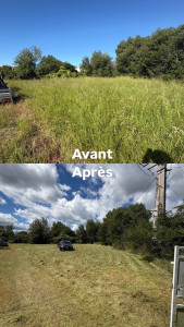Photo de galerie - Tonte