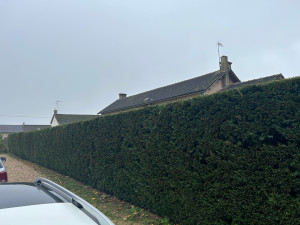 Photo de galerie - Taille d’une haie de l’elandis