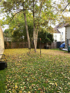 Photo de galerie - Tonte de pelouse 