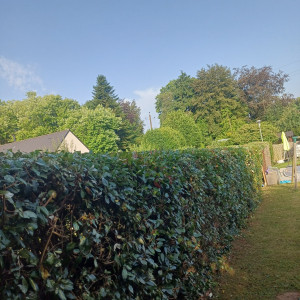 Photo de galerie - Jardinier