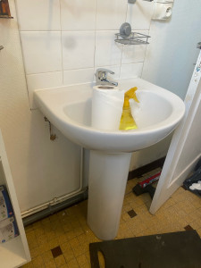 Photo de galerie - Remplacement lavabo sur colonne 