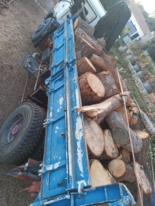 Photo de galerie - évacuation d'important trons d'arbre. 