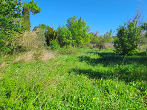 Photo de galerie - Debroussaillage avant après 