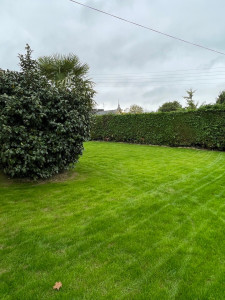 Photo de galerie - Tonte de pelouse