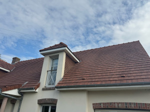 Photo de galerie - Après intervention du traitement anti-mousse. 