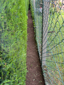 Photo de galerie - Désherbage 