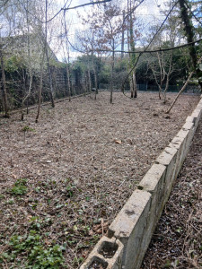 Photo de galerie - Jai tout nettoyer s etait plein de ronces je peux faire plein de truc