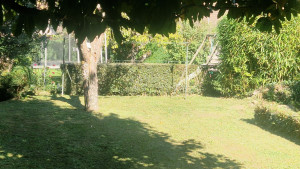 Photo de galerie - Tonte, débroussaillage et taille de haie