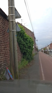 Photo de galerie - Un mur qui v à reprendre vie