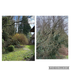 Photo de galerie - Avant après 