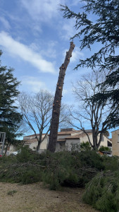 Photo de galerie - Jardin / Espace vert