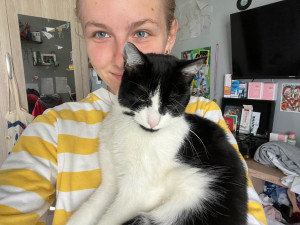 Photo de galerie - Garde de chat 
