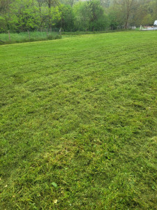 Photo de galerie - Parc environ 2500m2 non entretenu depuis quelques temps, herbe haute et dense ( intervention terminée, sans ramassage à la demande du client ).